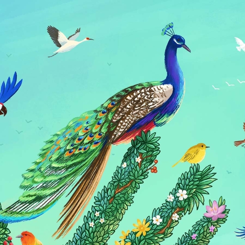 Close up of one of the birds, a peacock in the art print