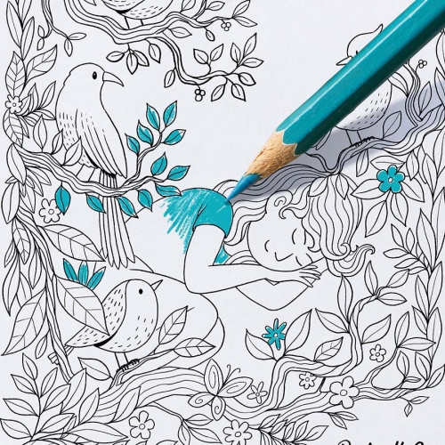 Saftey colouring sheet